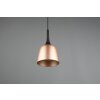 Trio-Leuchten Chiron Lampada a Sospensione Ottone, 1-Luce