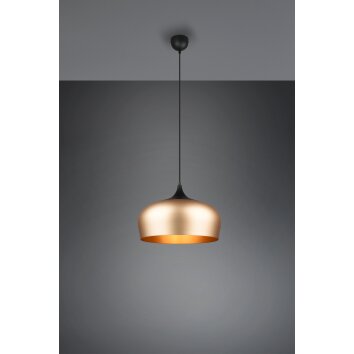 Trio-Leuchten Chiron Lampada a Sospensione Ottone, 1-Luce