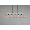 Trio-Leuchten Agra Lampada a Sospensione Nero, 5-Luci