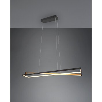 Trio-Leuchten Edge Lampada a Sospensione LED Nero, 1-Luce