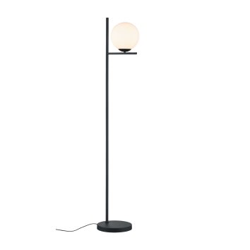 Trio-Leuchten Pure Lampada da terra Nero, 1-Luce