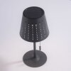 Leuchten-Direkt MANDY Lampada da tavolo LED Antracite, 1-Luce
