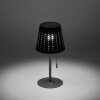 Leuchten-Direkt MANDY Lampada da tavolo LED Antracite, 1-Luce