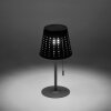 Leuchten-Direkt MANDY Lampada da tavolo LED Antracite, 1-Luce