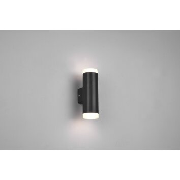 Trio-Leuchten Ray Applique LED Nero, 2-Luci