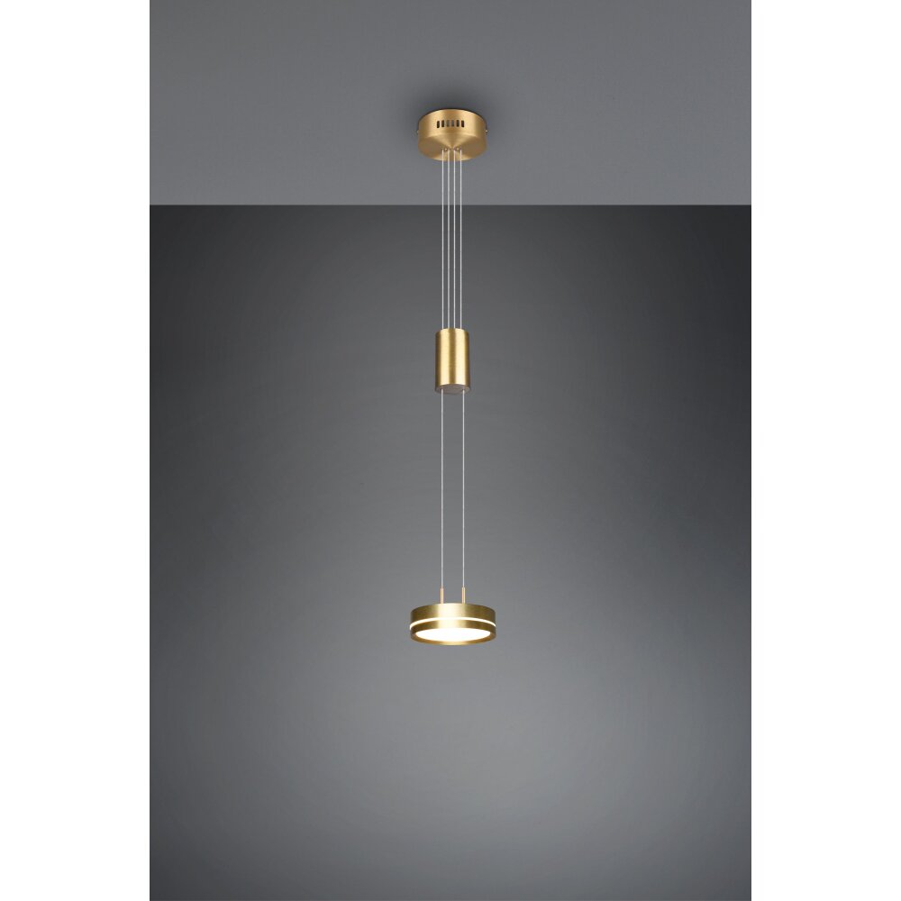 Trio-Leuchten Franklin Lampada a Sospensione LED Ottone, 1-Luce main product photo