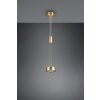 Trio-Leuchten Franklin Lampada a Sospensione LED Ottone, 1-Luce