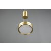 Trio-Leuchten Franklin Lampada a Sospensione LED Ottone, 1-Luce
