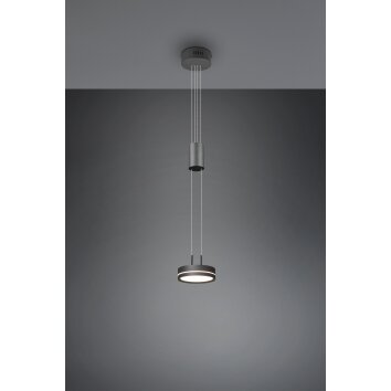 Trio-Leuchten Franklin Lampada a Sospensione LED Antracite, 1-Luce