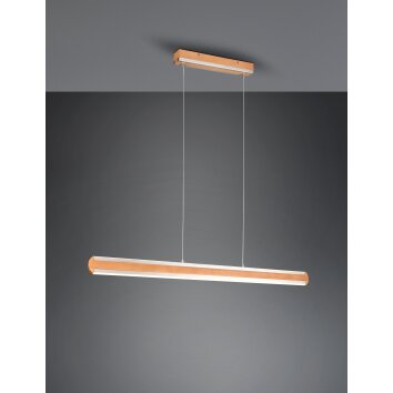 Trio-Leuchten Deacon Lampada a Sospensione LED Marrone, 1-Luce