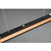 Trio-Leuchten Deacon Lampada a Sospensione LED, 1-Luce