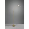 Trio-Leuchten Monza Lampada da terra LED Ottone, 1-Luce