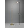 Trio-Leuchten Monza Lampada da terra LED Ottone, 1-Luce