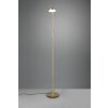 Trio-Leuchten Monza Lampada da terra LED Ottone, 1-Luce