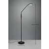 Trio-Leuchten Monza Lampada da terra LED Nero, 1-Luce