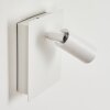 Saeter Applique da esterno LED Bianco, 1-Luce