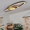 Sorte Plafoniera LED Nero, Bianco, 1-Luce