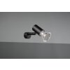 Trio-Leuchten Lorenzo Applique Nero, 1-Luce