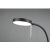 Trio-Leuchten Monza Lampada da tavolo LED Nero, 1-Luce