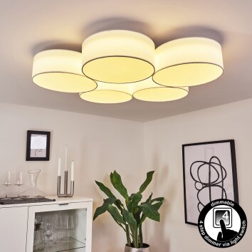 Purus Plafoniera LED Bianco, 1-Luce