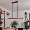 Luturula Lampadario a sospensione LED Nero, 1-Luce