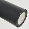 Saeter Applique da esterno LED Nero, 2-Luci, Sensori di movimento