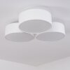 Purus Plafoniera LED Bianco, 1-Luce