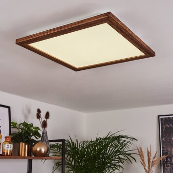 Raimea Plafoniera LED Bianco, 1-Luce