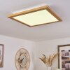 Raimea Plafoniera LED Bianco, 1-Luce