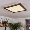 Raimea Plafoniera LED Bianco, 1-Luce