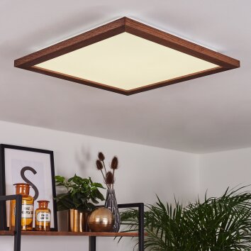 Raimea Plafoniera LED Bianco, 1-Luce