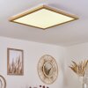 Raimea Plafoniera LED Bianco, 1-Luce