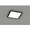 Reality CAMILLUS Plafoniera LED Nero, 1-Luce