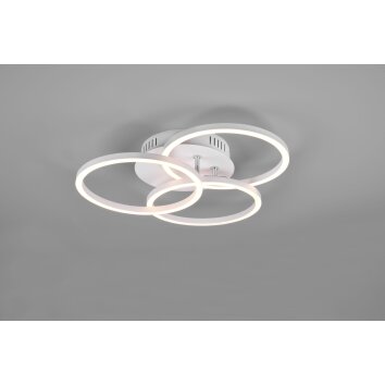 Reality Circle Plafoniera LED Bianco, 1-Luce, Telecomando