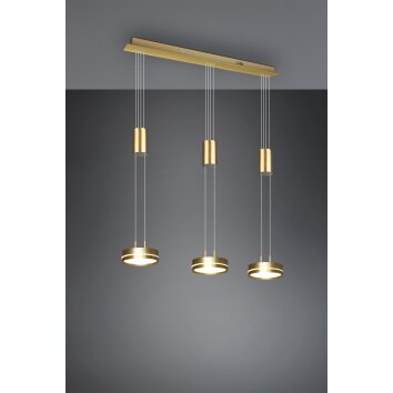 Trio-Leuchten Franklin Lampada a Sospensione LED Ottone, 3-Luci