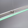 Paul-Neuhaus HELIX Lampada a Sospensione LED Alluminio, 2-Luci, Telecomando