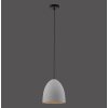 Paul-Neuhaus ETON Lampada a Sospensione Nero, 1-Luce