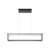 Paul-Neuhaus CONTURA Lampada a Sospensione LED Nero, 4-Luci