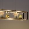 Paul-Neuhaus CONTURA Lampada a Sospensione LED Nero, 4-Luci