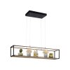 Paul-Neuhaus CONTURA Lampada a Sospensione LED Nero, 4-Luci