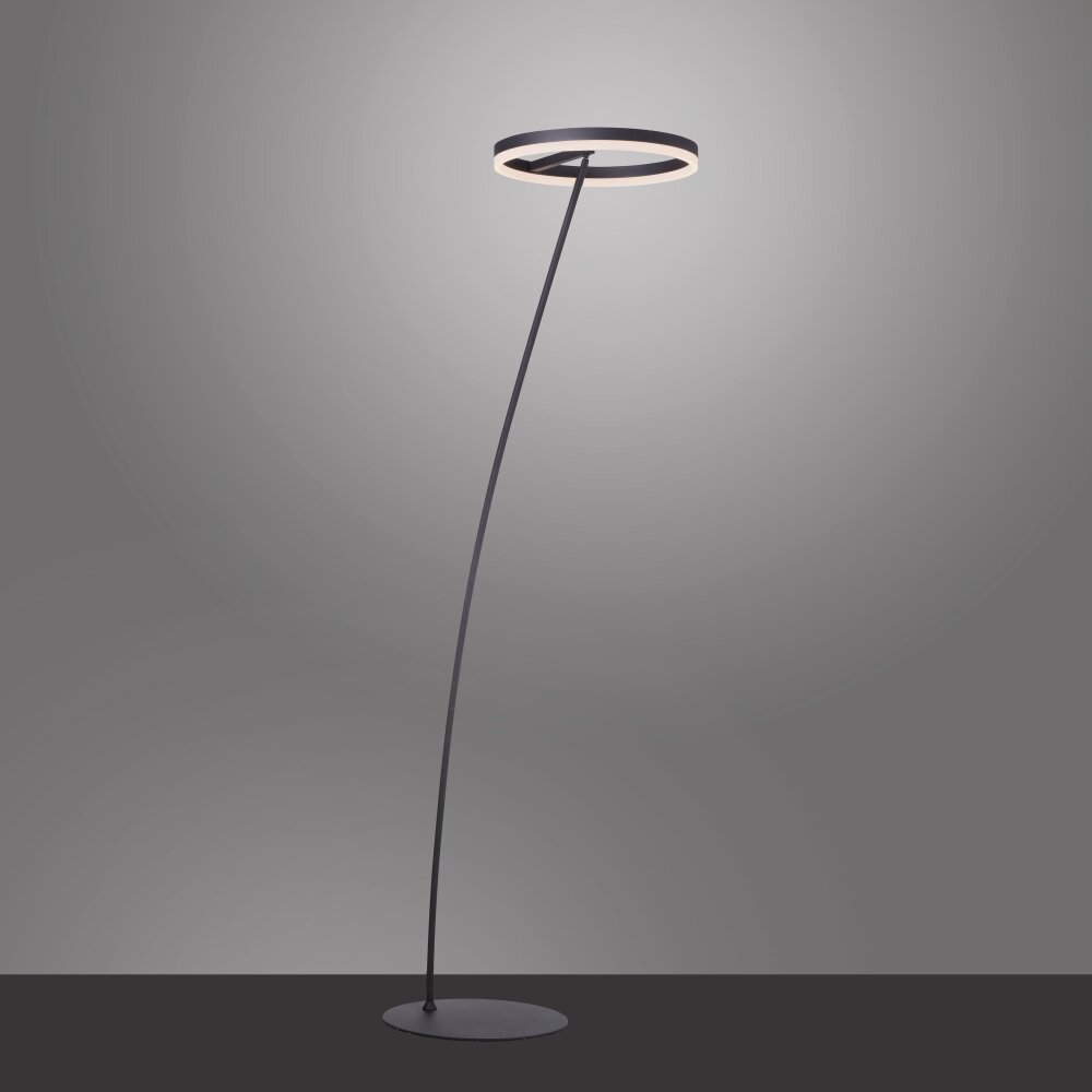 Paul-Neuhaus TITUS Lampada da terra Antracite, 1-Luce main product photo