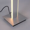 Paul-Neuhaus Q-ADRIANA Lampada da terra LED Alluminio, 2-Luci, Telecomando
