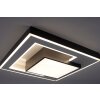 Paul-Neuhaus Q-ALTA Plafoniera LED Nero, 1-Luce, Telecomando