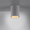 Paul-Neuhaus ETON Plafoniera Grigio, Nero, 1-Luce