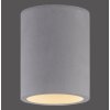 Paul-Neuhaus ETON Plafoniera Grigio, Nero, 1-Luce