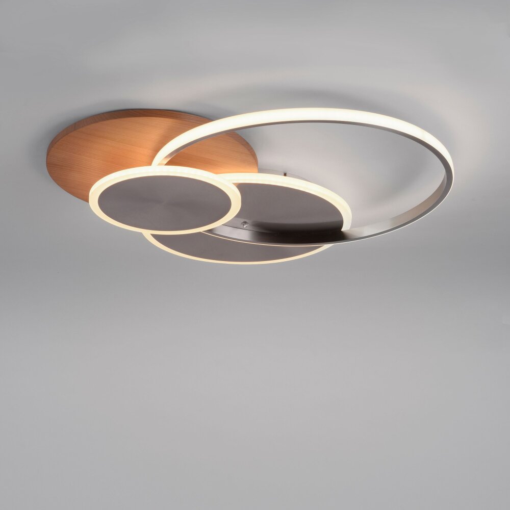 Paul-Neuhaus PALMA Plafoniera LED Écru, Acciaio satinato, 1-Luce, Telecomando