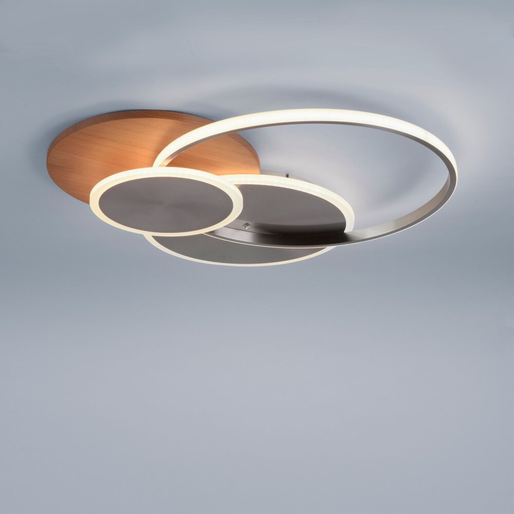 Paul-Neuhaus PALMA Plafoniera LED Écru, Acciaio satinato, 1-Luce, Telecomando