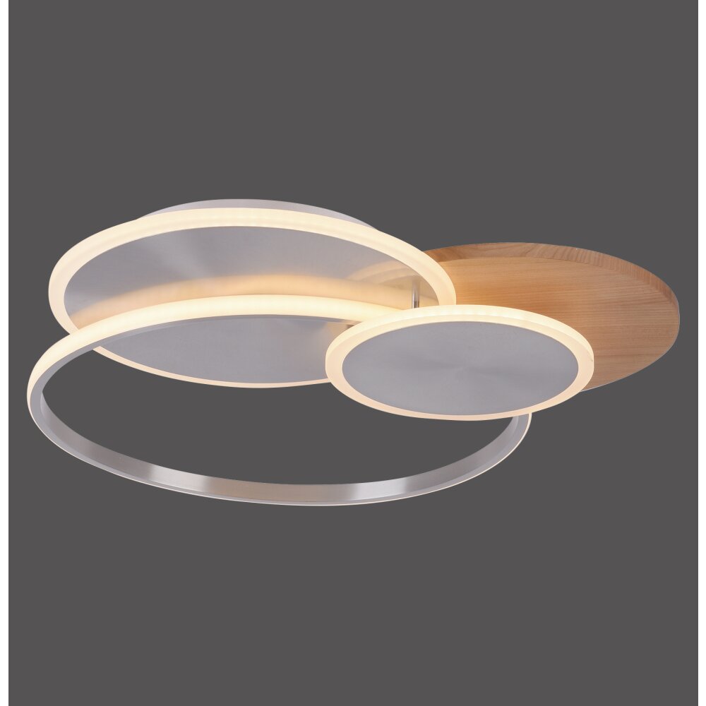 Paul-Neuhaus PALMA Plafoniera LED Écru, Acciaio satinato, 1-Luce, Telecomando