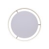 Paul-Neuhaus Q-VITO Plafoniera LED Ottone, 1-Luce, Telecomando