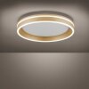 Paul-Neuhaus Q-VITO Plafoniera LED Ottone, 1-Luce, Telecomando